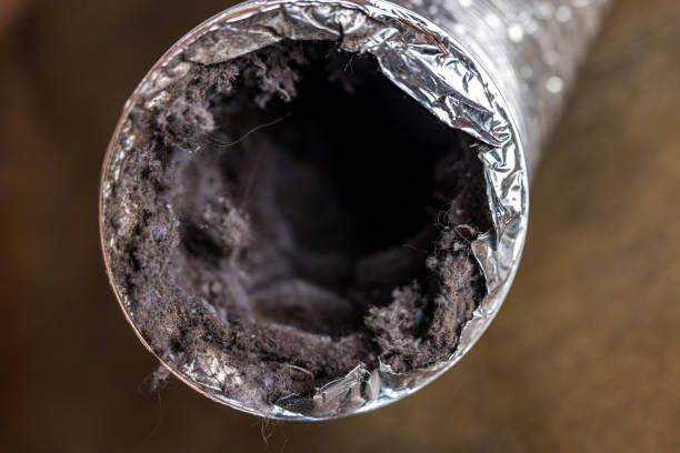 Best Air Duct Cleaning Company Near Me  in Ucon, ID
